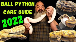 Ball Python Care Guide for Beginners [upl. by Travis]