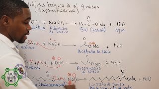 Saponificación de Ácidos Carboxílicos  Hidrólisis Básica de Ácidos Carboxílicos  Formación Jabón [upl. by Serle]