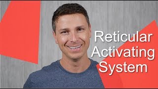 Reticular Activating System [upl. by Finbur]