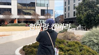 호주 vlog  시드니 캔버라 근교 bowral 가기 먹고 또 먹기 [upl. by Pineda]