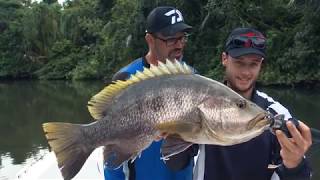 Baia Sportfishing PNG  Black Bass amp Spottail Bass Fishing [upl. by Corney]