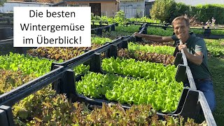 Der GROßE Wintergemüse Sortenüberblick  welche Gemüse eigenen sich für die kalte Jahreszeit [upl. by Retsehc]