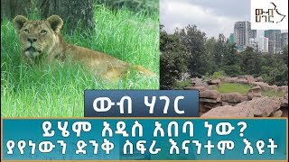 Ethiopia   ኢሳት WEB HAGER ይሄም አዲስ አበባ ነው ያየነውን ድንቅ ስፍራ እናንተም እዩት JULY 20 2024 [upl. by Aseuqram]