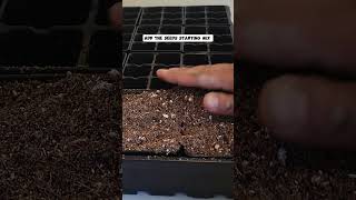 DIY Seed Starting Mix Easy Recipe with Peat Moss Perlite and Gypsum [upl. by Edveh]