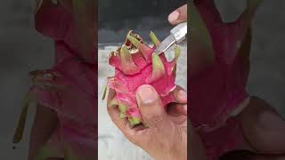 Growing Dragon plant from fruits cutting gardening grafting plantcutting [upl. by Anrim]