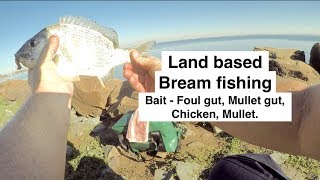 BREAM FISHING basics land based with bait Australia [upl. by Elrak]