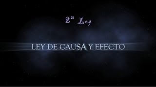 38 LEY DE CAUSA Y EFECTO  Las Leyes Universales [upl. by Cressida]