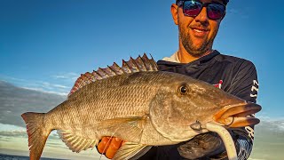 Artificial lure fishing and top water action  Ningaloo Reef  Exmouth Wa [upl. by Kavanagh]