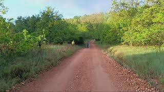 Dry Creek Hunting Dogs Rabbit Hunting May 15 2024 [upl. by Handal930]