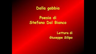 quotDalla gabbiaquot Stefano Dal Bianco [upl. by Goddord]