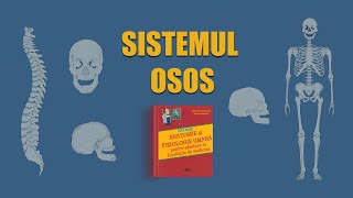 C7 Sistemul osos  LIVE BARRONS ADMITERE MEDICINĂ [upl. by Kevyn]