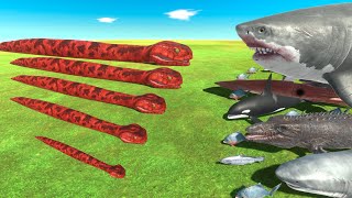 Titanoboa is Growing VS ALL Aquatics  Animal Revolt Battle Simulator [upl. by Wong92]