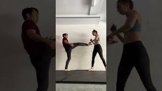 Roundhouse kicks variations training [upl. by Maram686]