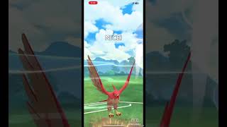 Pokemon Go  ✨ Talonflame destroys team rocket grunt bug pokemongo [upl. by Avelin291]