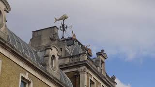 Old Billingsgate Fish Market and Custom HouseCity of London [upl. by Tasiana]