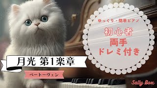 ソナタ 月光 第1楽章ベートーヴェン 初級ピアノ 初心者ピアノ ドレミ付き ゆっくり練習 簡単クラシック [upl. by Teplitz445]