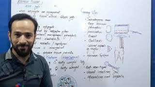 Adipose Tissue  Types of Adipose Tissue  Connective tissues  Part1 [upl. by Inamik]