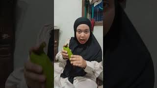 lagi makan semangka semangka lucu makanbuah funny shorts videoshort [upl. by Gerger402]