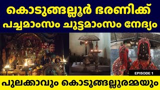 കൊടുങ്ങല്ലൂർ ഭരണിക്ക് ദേവിയെ കാണാൻ ഇവിടെ പോകണം Kodungallur Meena Bharani Pulakkavu Rituals History [upl. by Darwen725]