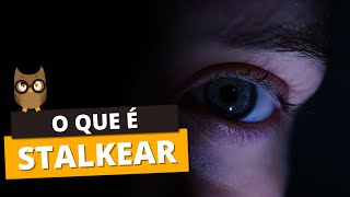 O QUE É STALKEAR [upl. by Hafital]