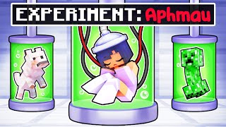 Who EXPERIMENTED on APHMAU in Minecraft [upl. by Hagan]