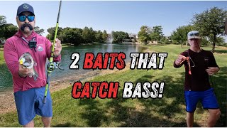 Proven Summer Bass Fishing Techniques when its hot [upl. by Awad]