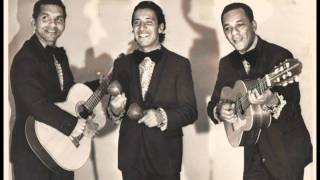 LA CANOA RANCHA Trio Montecarlo Colombia [upl. by Shabbir199]