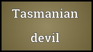 Tasmanian devil Meaning [upl. by Einhoj]