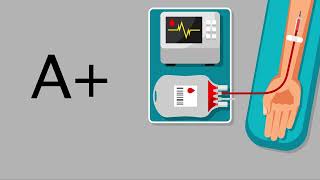 Conoce los diferentes tipos de sangre y su compatibilidad entre sí [upl. by Nichole]