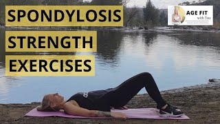 Spondylosis Strength Exercises [upl. by Nerahs]