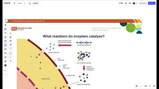 IGCSE BIOLOGY CHAPTER 5 ENZYMES [upl. by Sluiter]