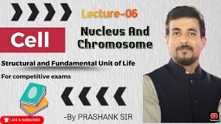 The cell Nucleus chromatin and chromosome [upl. by Aluor]