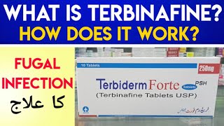 Terbiderm Terbinafine 250MG Tablet Uses amp Side Effects In Urdu Hindi  Fungal Infection On Skin [upl. by Federica]