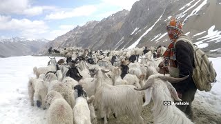 A Shepherds Journey with English Subtitles [upl. by Aidnis390]