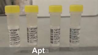 Microfluidic Biosensor for Detection of Seafood and Egg Allergies [upl. by Ytineres]