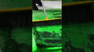 Carpet Washing ASMR asmr shorts [upl. by Felic841]