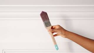 DampF Cornice amp Ceiling Brush [upl. by Lianna]