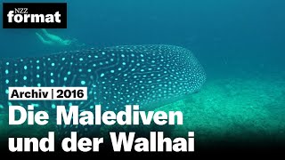 Die Malediven und der Walhai 2016 [upl. by Arianna]