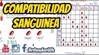 Compatibilidad Sanguínea  Transfusiones  Fisiología  Sistema Rh y AB0 Tipos de sangre [upl. by Hung]