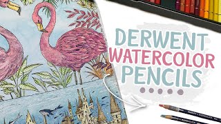 Coloring Flamingos with Derwent Watercolour Pencils  PencilStash Adult Coloring Tutorial [upl. by Tsenrae26]