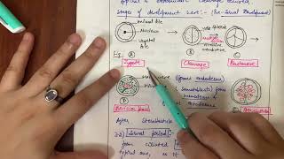 PHYLUM🪵🪱ANNELIDA NEREIS LIFE CYCLE WITH LARVAL STAGES TROCHOPHOREampPHYLOGENY [upl. by Dlaregztif]