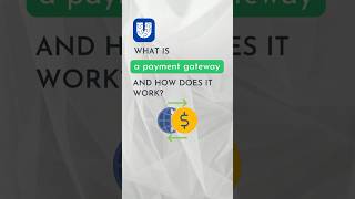 What Is a Payment Gateway and How Does It Work [upl. by Devehcoy]