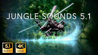 51 Jungle Sound  THX SurroundEX  4K HDR [upl. by Nolyat]