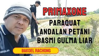 PRIMAXONE PARAQUAT ANDALAN PETANI BASMI GULMA LIAR [upl. by Adamik]