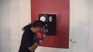 Combat Sports WallMounted Uppercut Bag [upl. by Neelyam]