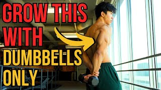 The ONLY 3 Tricep Exercises You NEED for BIGGER Triceps DUMBBELL ONLY [upl. by Anairb]