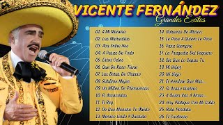 VICENTE FERNÁNDEZ MIX ROMANTICAS VIEJITAS PARA ADOLORIDOS  LO MEJOR DE VICENTE FERNÁNDEZ [upl. by Aurora83]