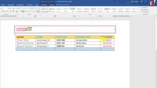 Sjabloon maken in Word 2016 [upl. by Yelrebma]