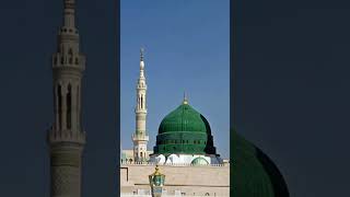 NoorWalaAyaHaFerhanAliQaderilove beatiful islamicstatus shortvideo shorts shortsfeed [upl. by Adner]