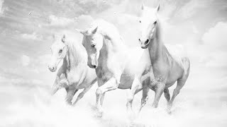 Wild Horses Psalms 27 John Michael Friedrich Singing  Revised Lyrics and message in description 👇 [upl. by Ahsoet]